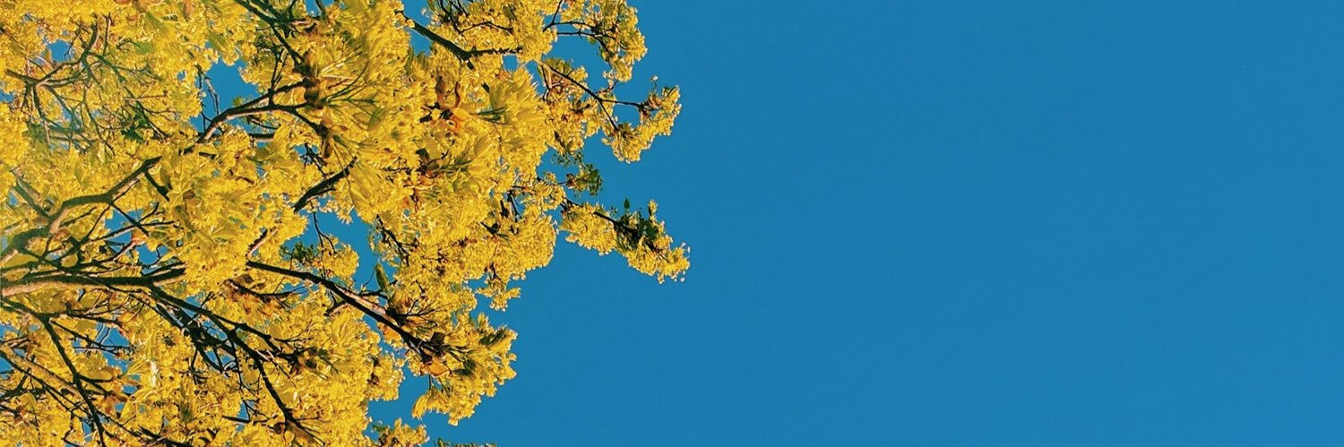 Jomified's profile banner image