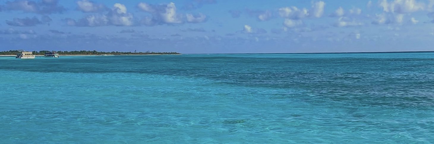 jimena_scc's profile banner image
