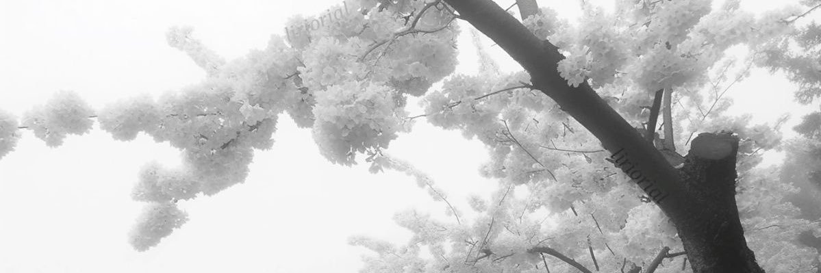 Voretti's profile banner image