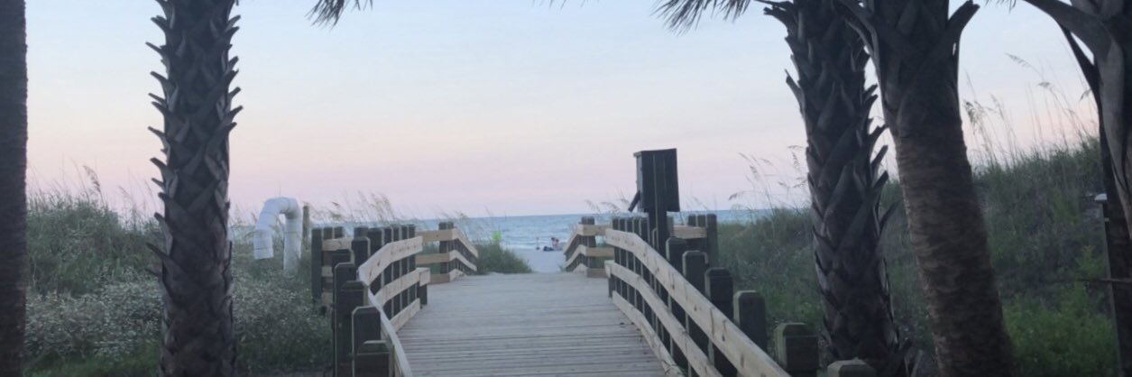 LizHilton7's profile banner image
