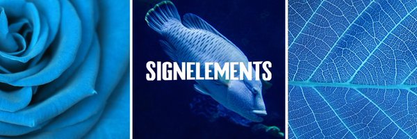 signelements Profile Banner
