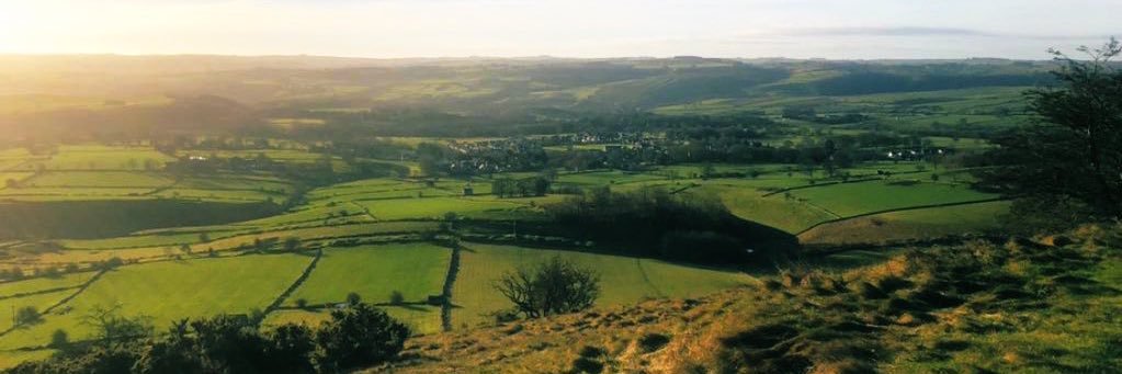 Nuala G banner