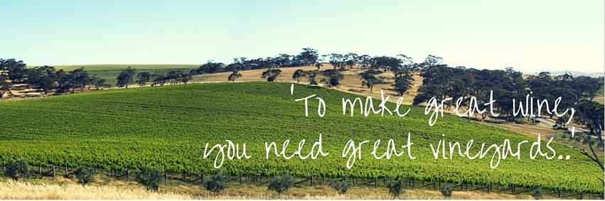 Mitchellwinery's profile banner image