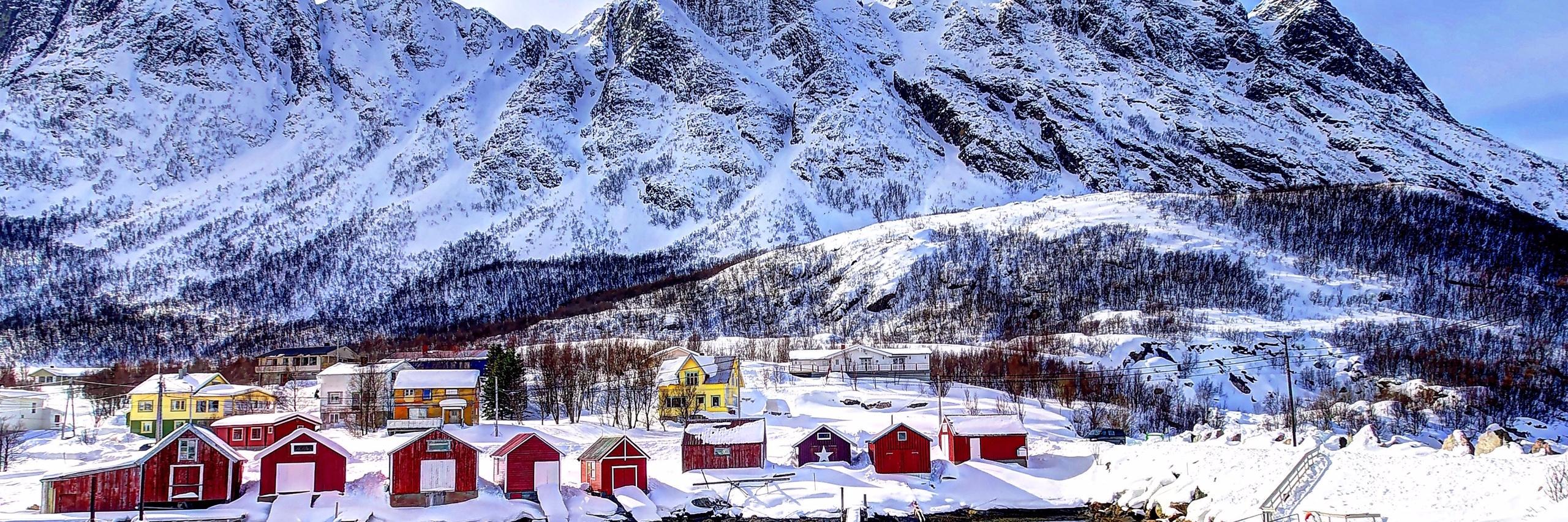 Martin Pulpitel banner