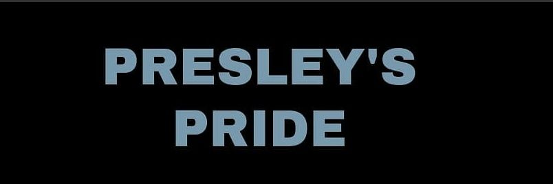 stacyeanes's profile banner image