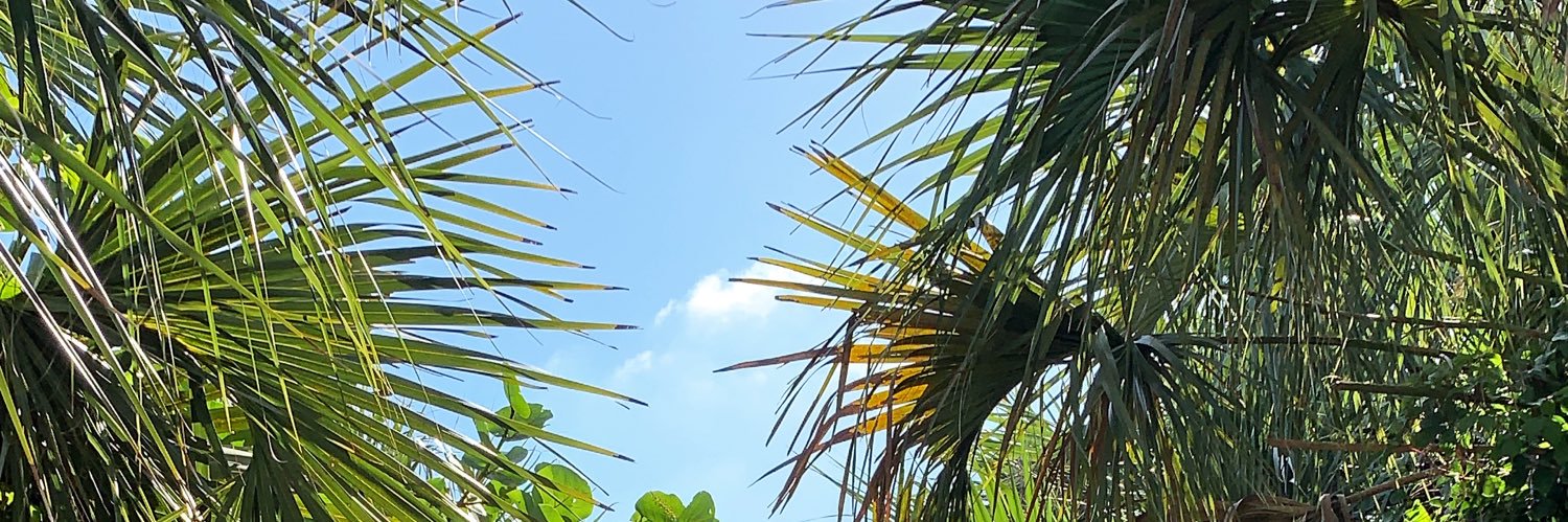 mattieflan's profile banner image