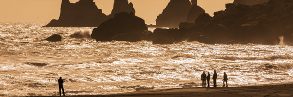 Islandsstofa Profile Banner