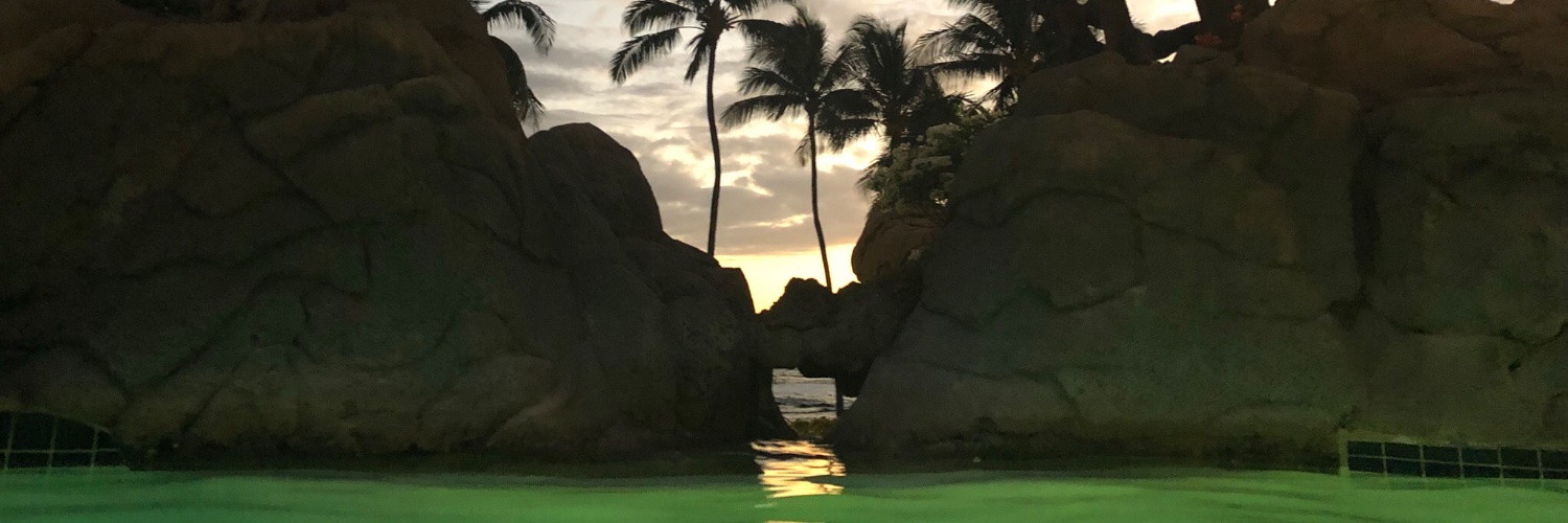 moniqiey's profile banner image