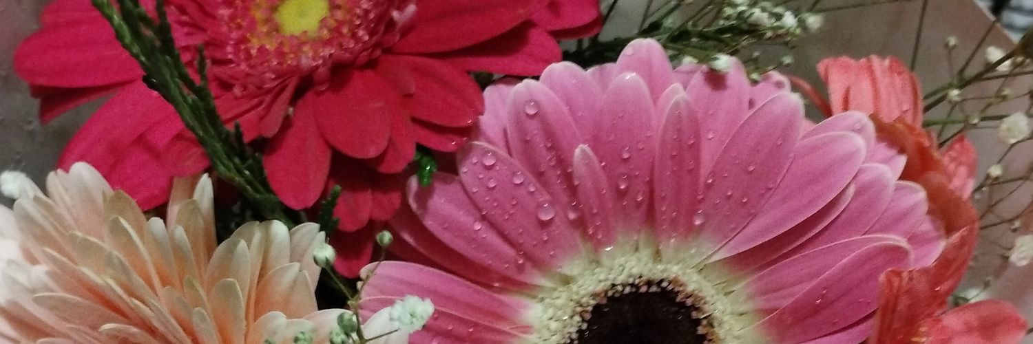 LandyLudmila's profile banner image