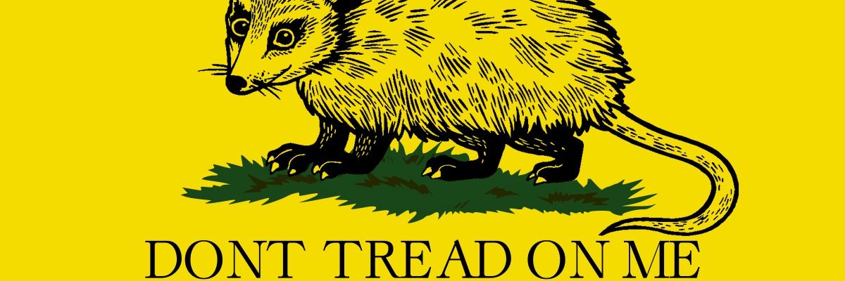 Fresh_Fellow's profile banner image
