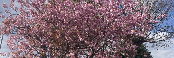 Pascale_Caussat Profile Banner