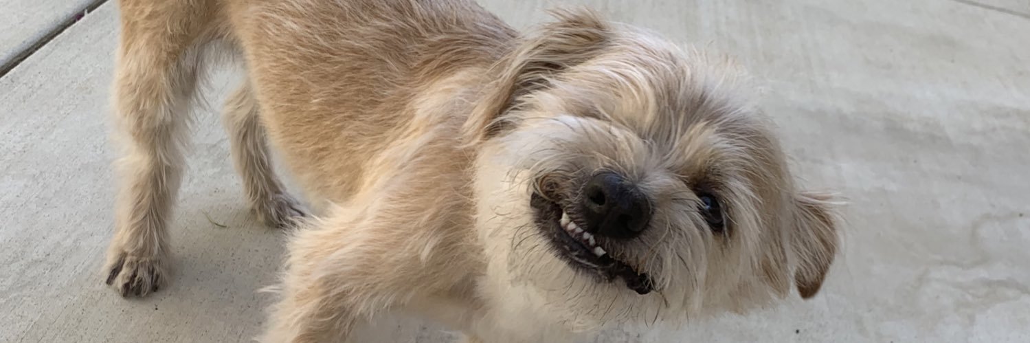 MaiLinh Nguyen banner