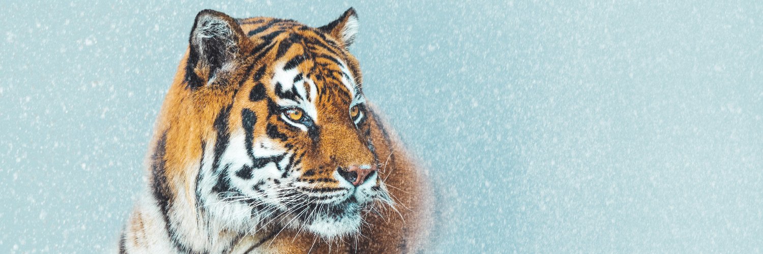 Pakosta1's profile banner image