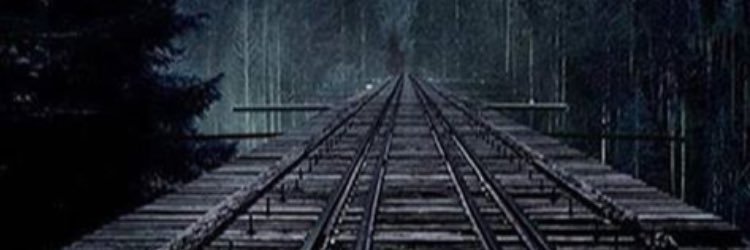 66regnilsnug's profile banner image