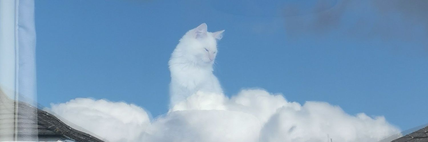 Jorge_Catala's profile banner image