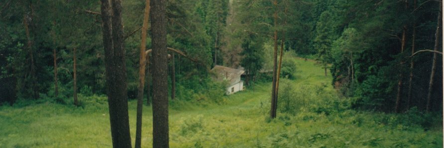 leto_al's profile banner image