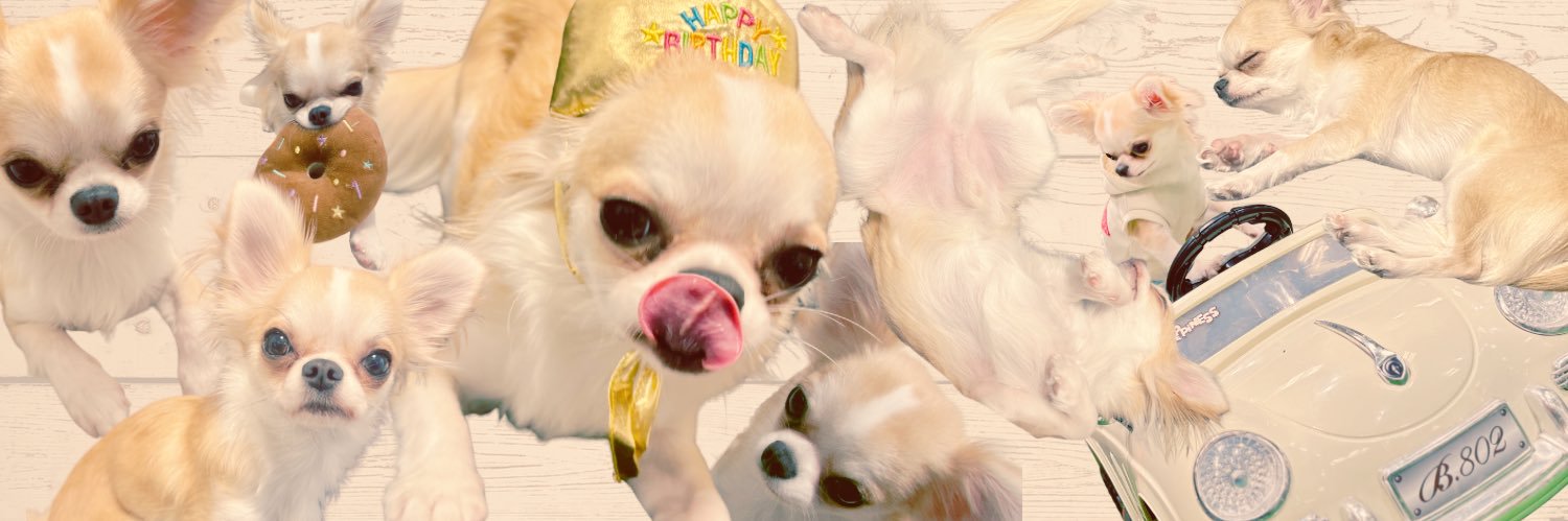 ikh_SweetS's profile banner image