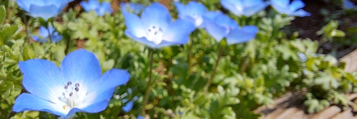Sbms6331's profile banner image
