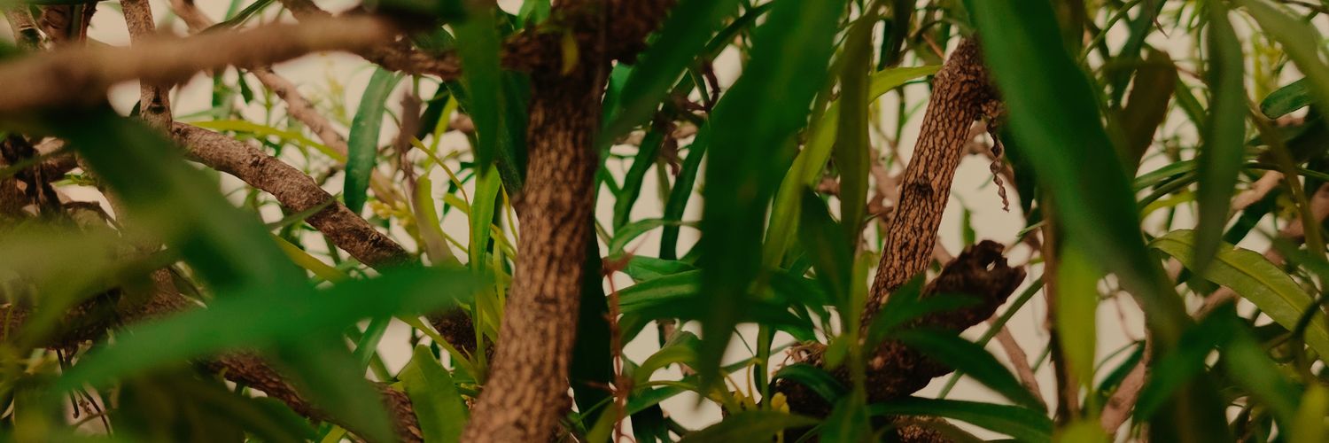 FikiHeavy's profile banner image