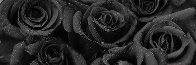 mynameislally's profile banner image