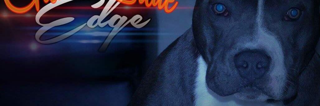 4540_603's profile banner image