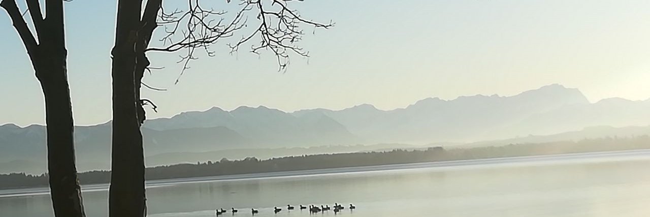 EvaMariaFischer's profile banner image