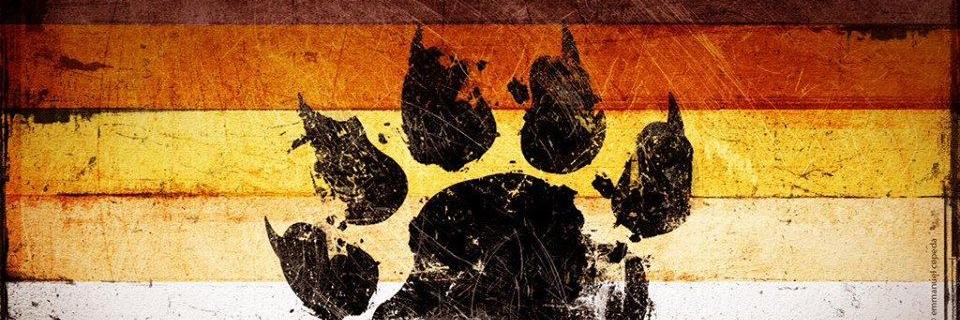 VendettaCub's profile banner image