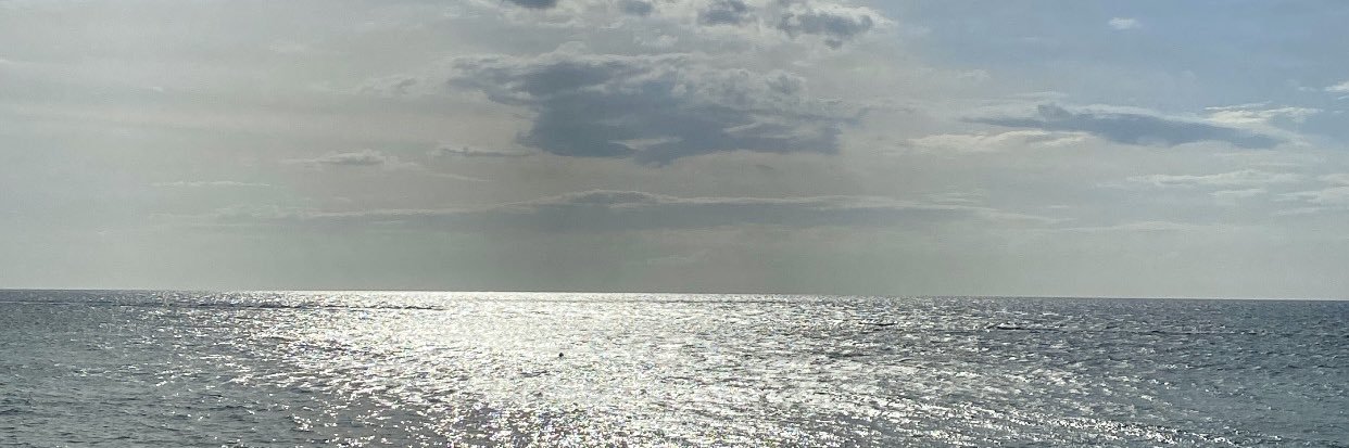 pringleliscious's profile banner image