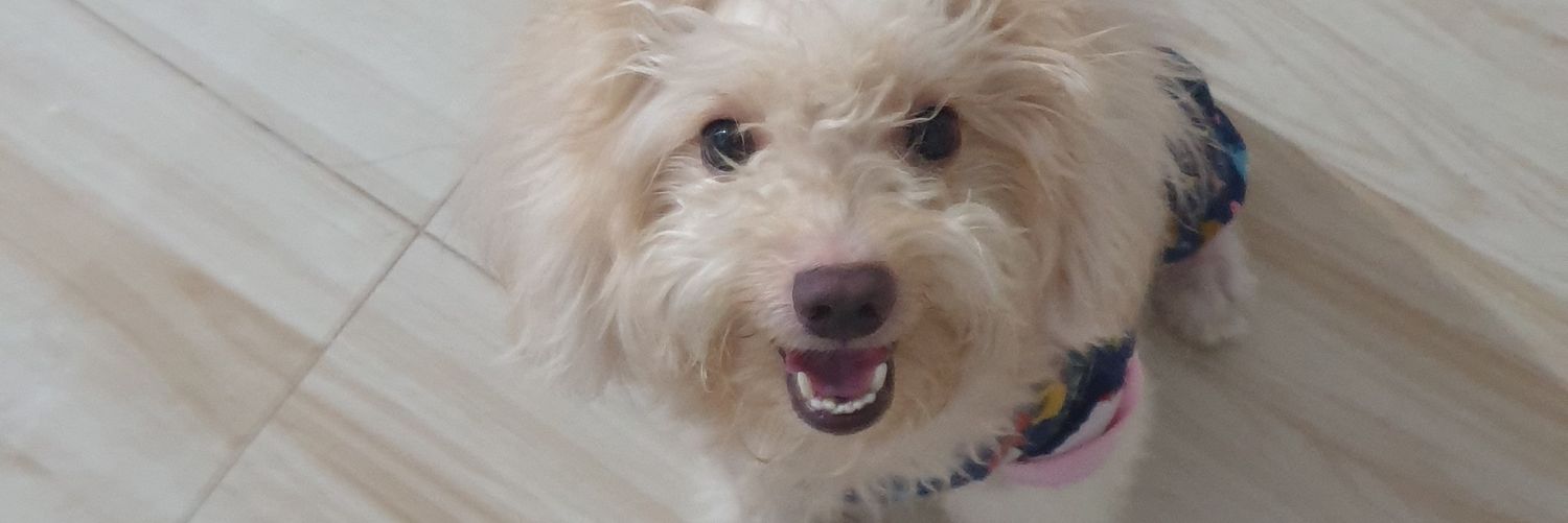claryscee's profile banner image
