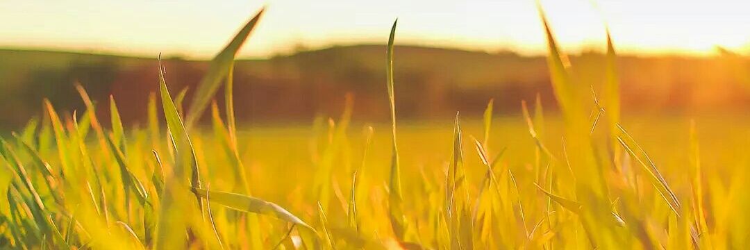 Jaenu_12's profile banner image