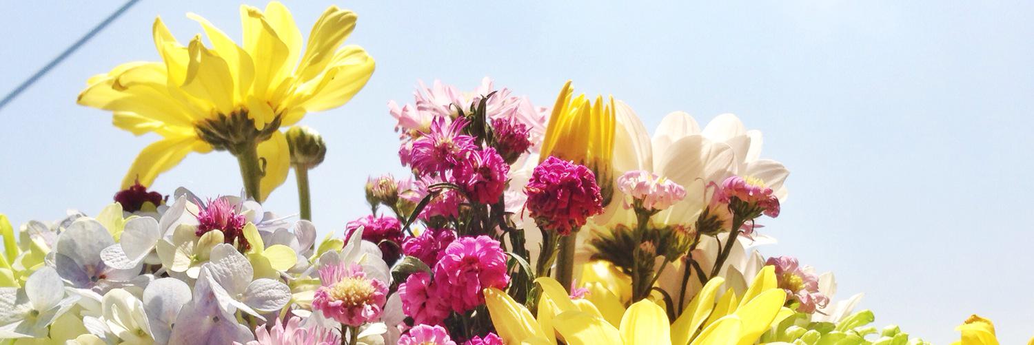novitapuputri's profile banner image