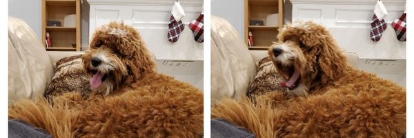 lucia_petito Profile Banner