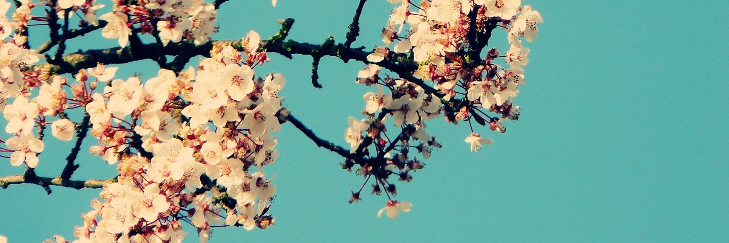 its_asli's profile banner image