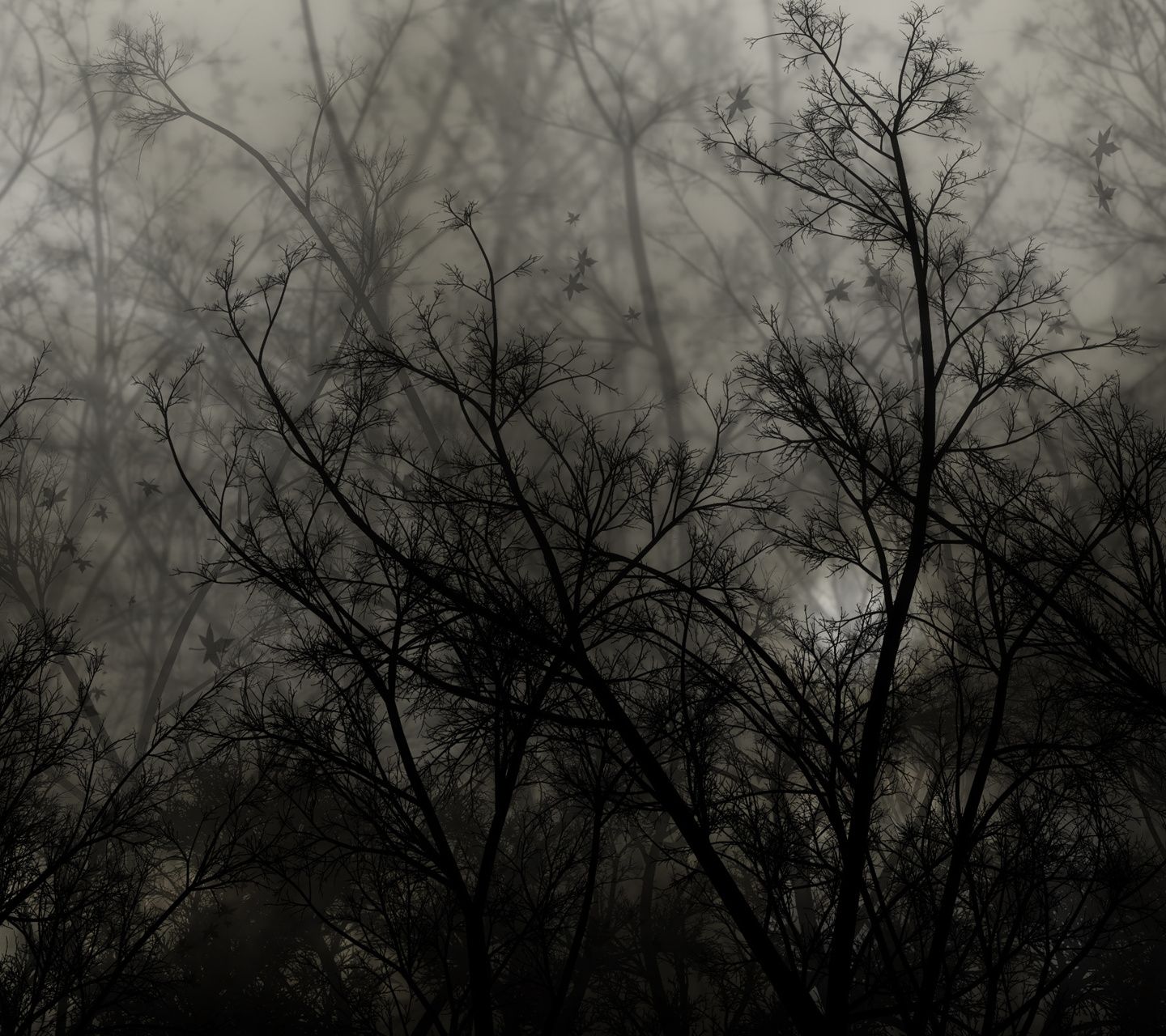 xVerinx's profile banner image