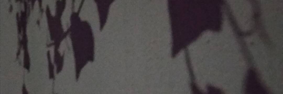 Strsandra's profile banner image