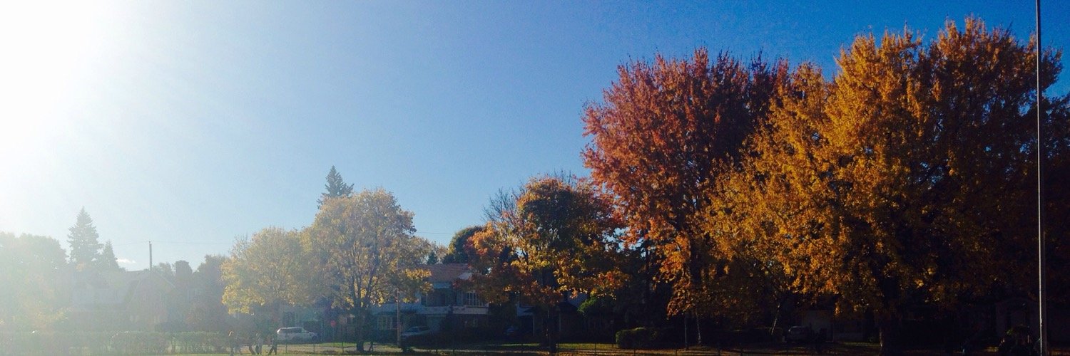 Tami Brewster banner