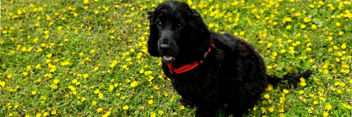 Jono_Mooney's profile banner image