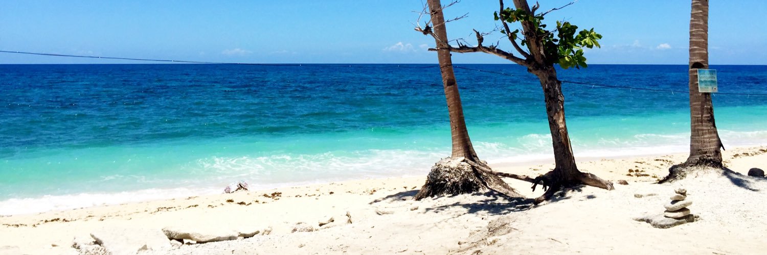 PinayBee1's profile banner image