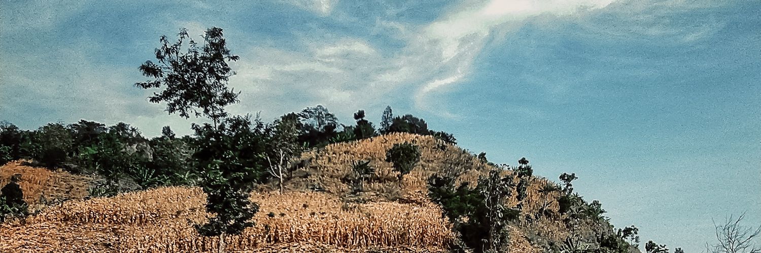 A_Ambary's profile banner image