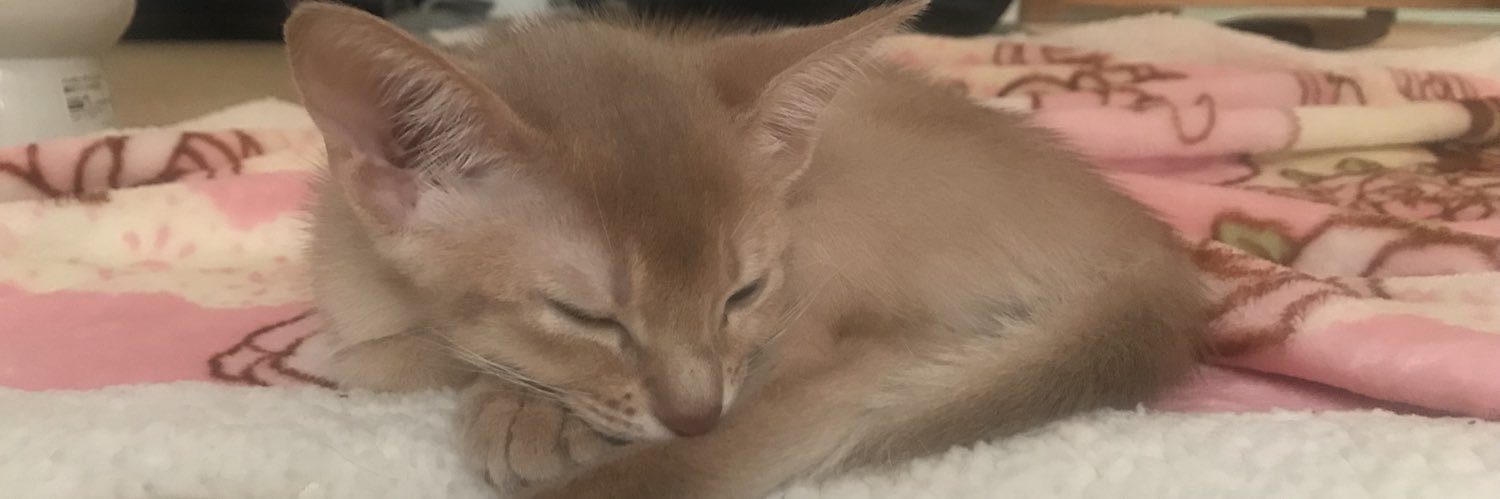 格ゲーマーささき banner