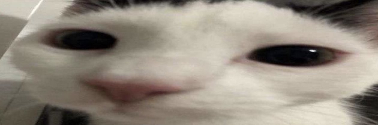 MosriCM's profile banner image
