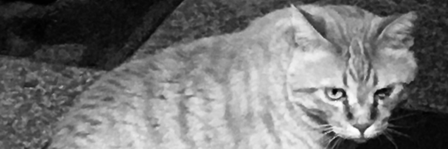 massan2000GT's profile banner image