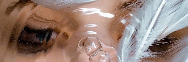 vevveeeee's profile banner image