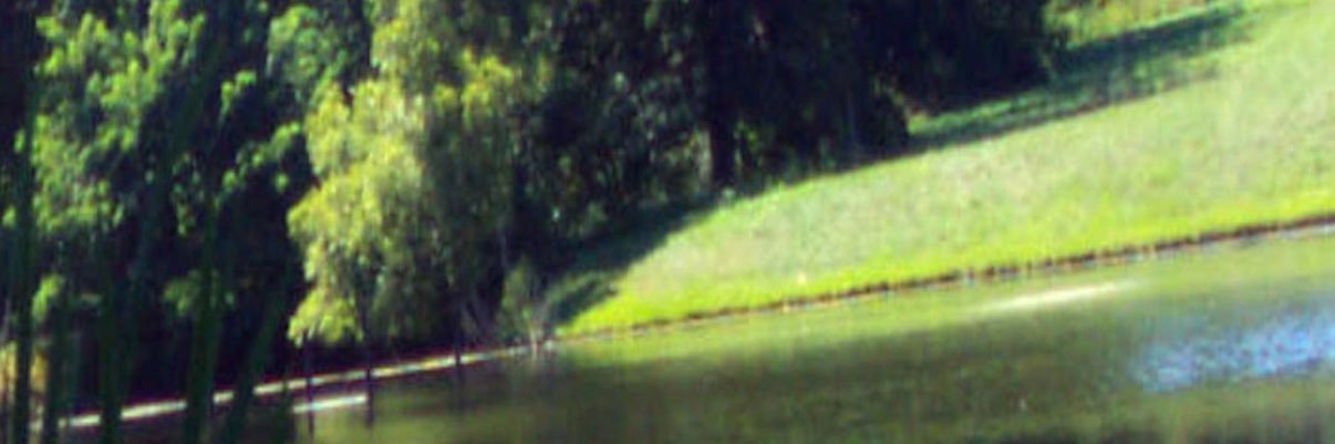 usabusinesshawk's profile banner image