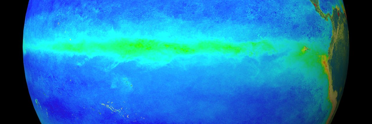 Vanessa Burns banner