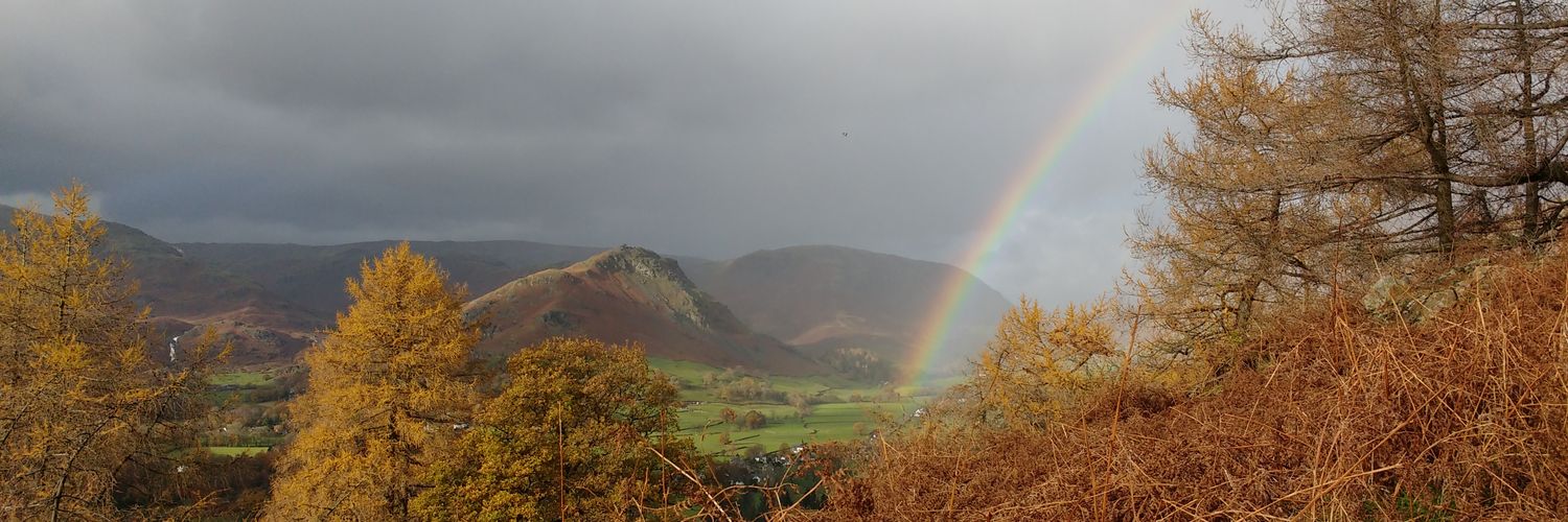 Philippa Shepley banner