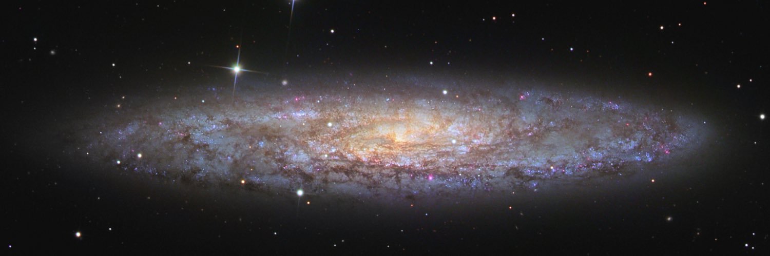 Peter Sommerville banner