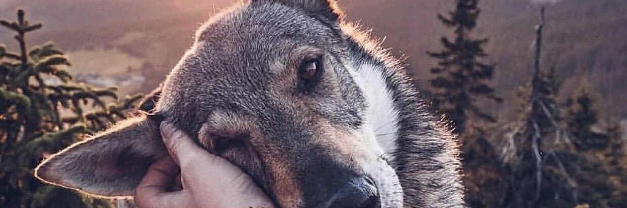 Johnatanmp05's profile banner image