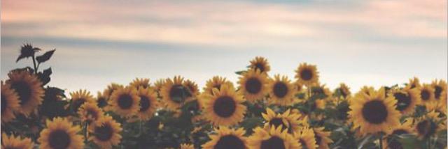 katiegabe's profile banner image