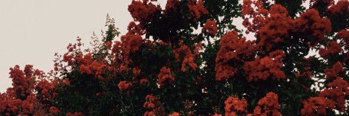 k_gilroy's profile banner image
